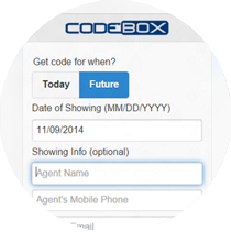 codebox lockbox alternative.
